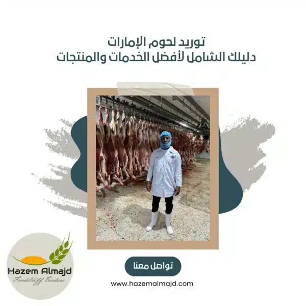 توريد لحوم الإمارات